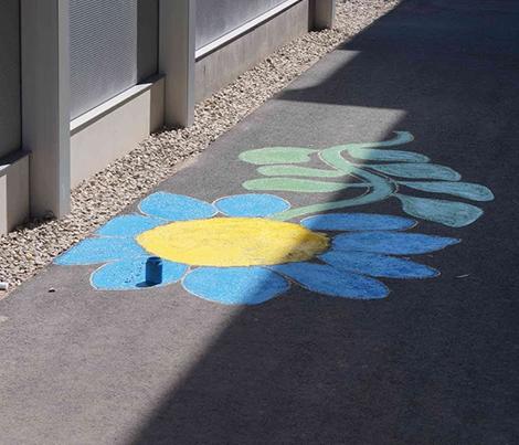 Eine Blume auf dem Boden