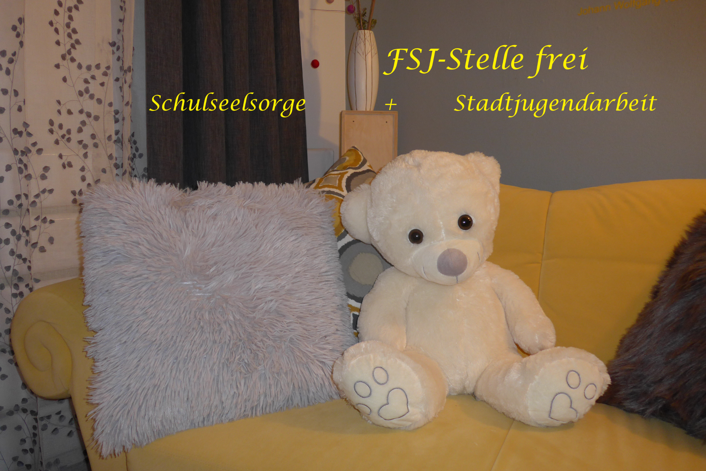 FSJ Stelle