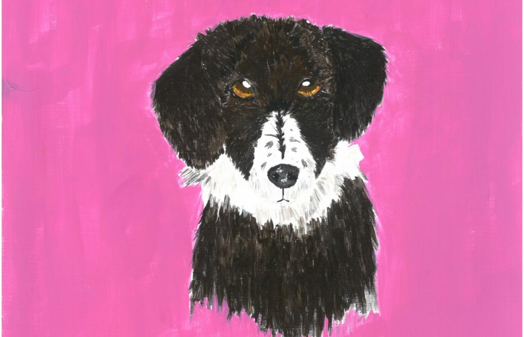 6. Klasse: Tiere malen (Acrylfarben)