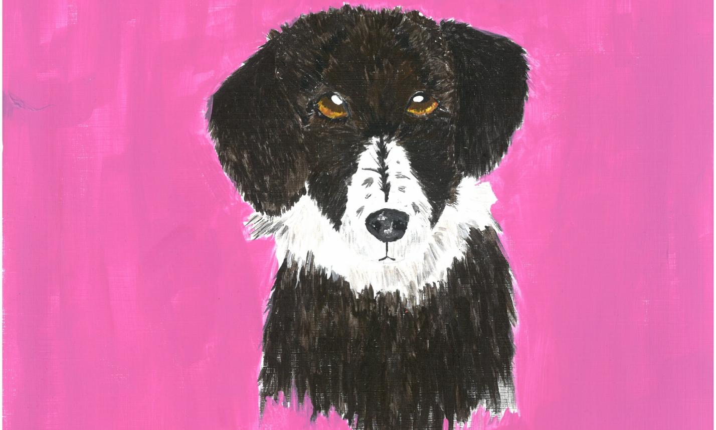 6. Klasse: Tiere malen (Acrylfarben)