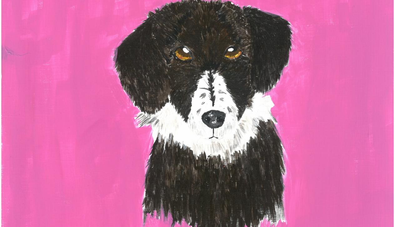 6. Klasse: Tiere malen (Acrylfarben)
