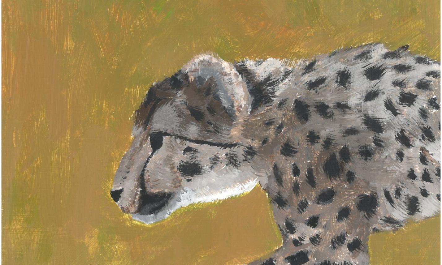 6. Klasse: Tiere malen (Acrylfarben)