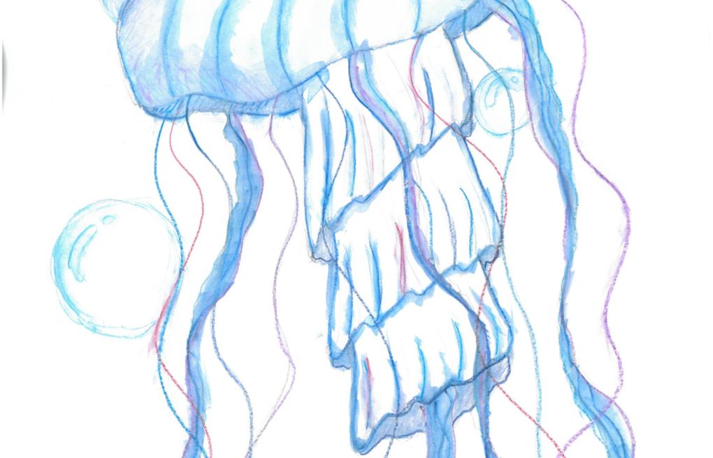 9. Klasse: Qualle (Aquarell)