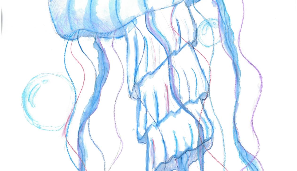 9. Klasse: Qualle (Aquarell)